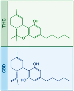 Ijms 24 05251 g001