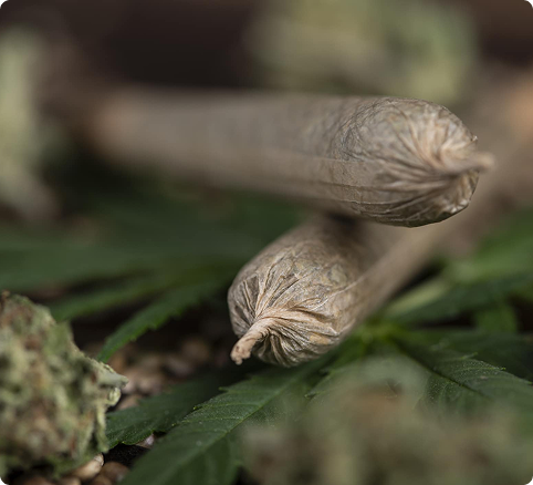 Lucky Buds MI weed dispensary store serving Flower Stanton and Crystal Michigan